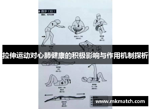 拉伸运动对心肺健康的积极影响与作用机制探析 拉伸运动对心肺健康的积极影响与作用机制探析