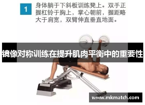 镜像对称训练在提升肌肉平衡中的重要性